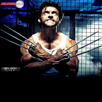 Manish Panda-Freelancer in ,India