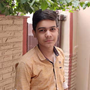 Adarsh Goswami-Freelancer in ,India