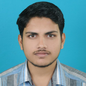 Abdul Basith Aluvanpilakkil-Freelancer in ,India