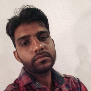 Asger Hussain-Freelancer in Bikaner,India