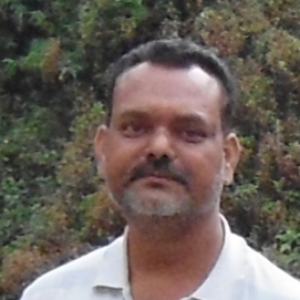 Navneet Mandowara-Freelancer in Jabalpur,India