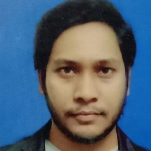 Hasanur Jaman Molla-Freelancer in Kolkata,India