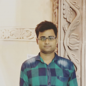 Pranabesh Mondal-Freelancer in Kolkata,India
