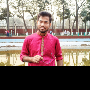 Ashraful Islam-Freelancer in ,Bangladesh