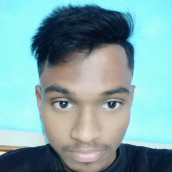 Chand Singh-Freelancer in INDIA,India