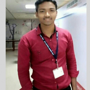 Biswanath Pal-Freelancer in Haldia,India