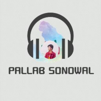 Pallab Sonowal-Freelancer in ,India