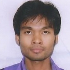 Bikram Prasad Sarkar-Freelancer in ,India