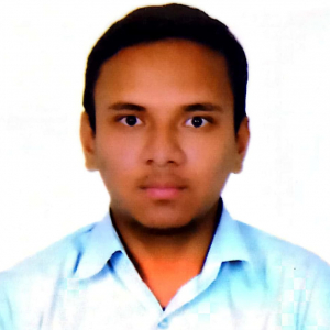 Mohammed Tanveer Ahmed-Freelancer in Chennai,India