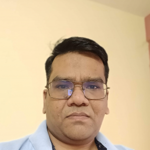 Sudhir Vishwakarma-Freelancer in Bangalore,India