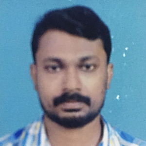 Sumesh Vidyadhar-Freelancer in Perumpilly,India