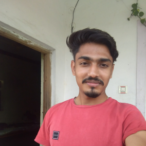Pawan Kumar Bhade-Freelancer in Chhindwara,India