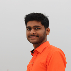 Vivek Patel-Freelancer in ,India