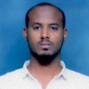 Ibrahim Amin Ibrahim-Freelancer in Samara, Afara,Ethiopia