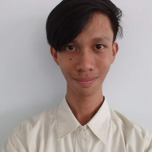 Novie C. Mamalateo Jr.-Freelancer in Manila,Philippines