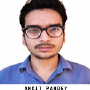 Ankit Pandey-Freelancer in Delhi ,India