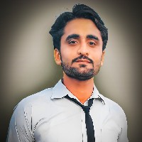 Muhammad Tahir Bashir-Freelancer in Bahawalpur,Pakistan