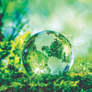 Parthiban B-Freelancer in ,India