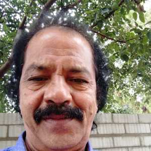 Nagarajakapoor Nekkalapudi-Freelancer in ,India