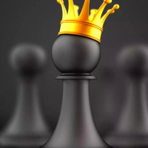 Bhakti Mondal-Freelancer in ,India