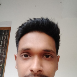 Nikhil Soman-Freelancer in Thrissur,India