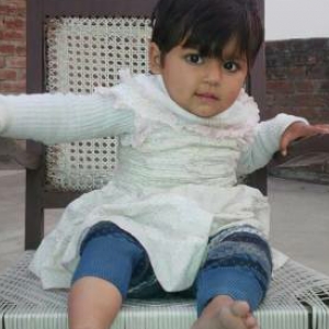 Shadab Qasmi-Freelancer in Delhi,India