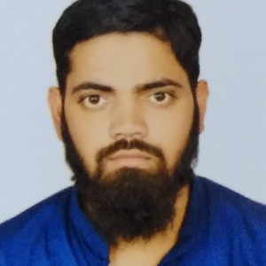 Mohd Haroon-Freelancer in Mahmudabad,India
