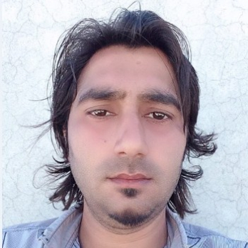 Mirza Saheb-Freelancer in Gujranwala,Pakistan