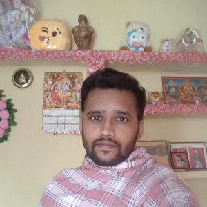 Sanjay Rajput-Freelancer in ,India