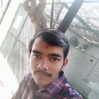 Mukesh Jodhani-Freelancer in ,India