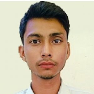Bilal Ahmad-Freelancer in kanja sarai gulami patti pratapgarh,India