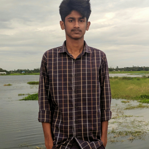 Taufiq Sarker-Freelancer in Narsingdi,Bangladesh