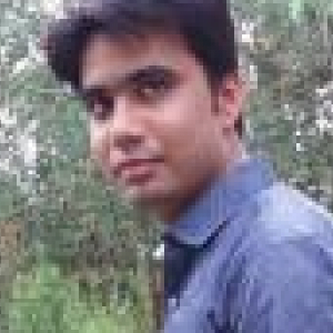 Ankit Soni-Freelancer in Faridabad,India