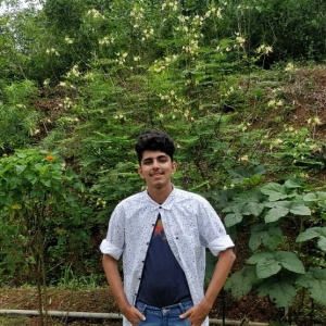 Sanjay V S-Freelancer in Bengaluru,India