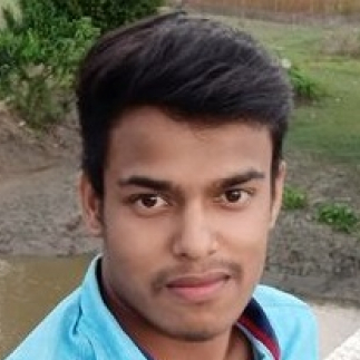 Amit Saha-Freelancer in ,India