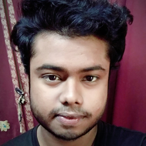 Akash Kundu-Freelancer in ,India