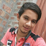 Muhammad Abdullah Malik-Freelancer in Faisalabad,Pakistan
