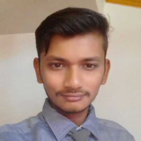 Madhav Prajapati-Freelancer in Ahmedabad,India
