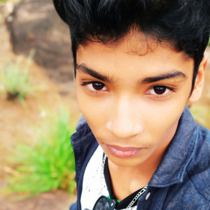 Steffin Stephen-Freelancer in ,India