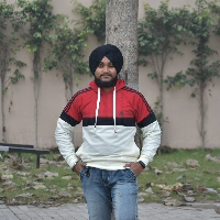 Surjeet Singh Sethi-Freelancer in Ambala Sadar,India