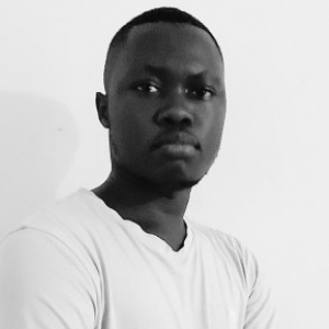Papa Ibrahima Sow-Freelancer in ,Senegal