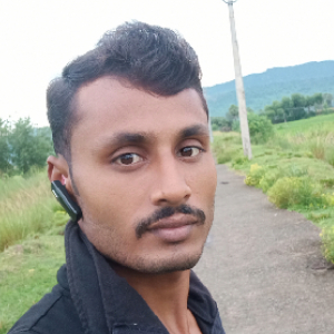 Vikram Kumar-Freelancer in ,India