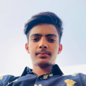 Parveen Kumar-Freelancer in ,India