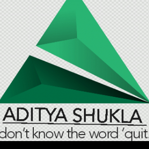 Aditya Shukla-Freelancer in ,India