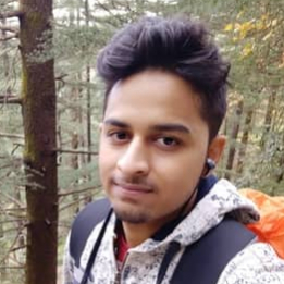 Snehil Tarafdar-Freelancer in Bharuch,India