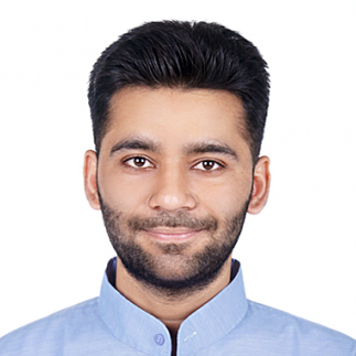 Dipesh Kakkad-Freelancer in ,India