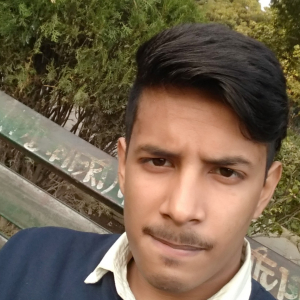 Varun Singh-Freelancer in ,India