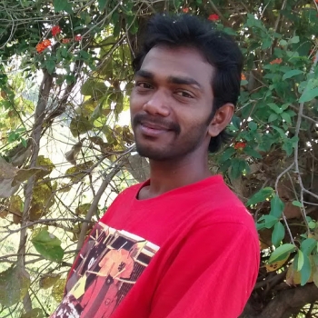 Srinu Nuthalapati-Freelancer in Secunderabad,India