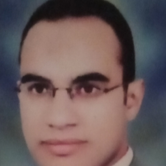 Mohamed Rashwan-Freelancer in tanta,Egypt