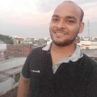 Ankit Mishra-Freelancer in Biswan,India